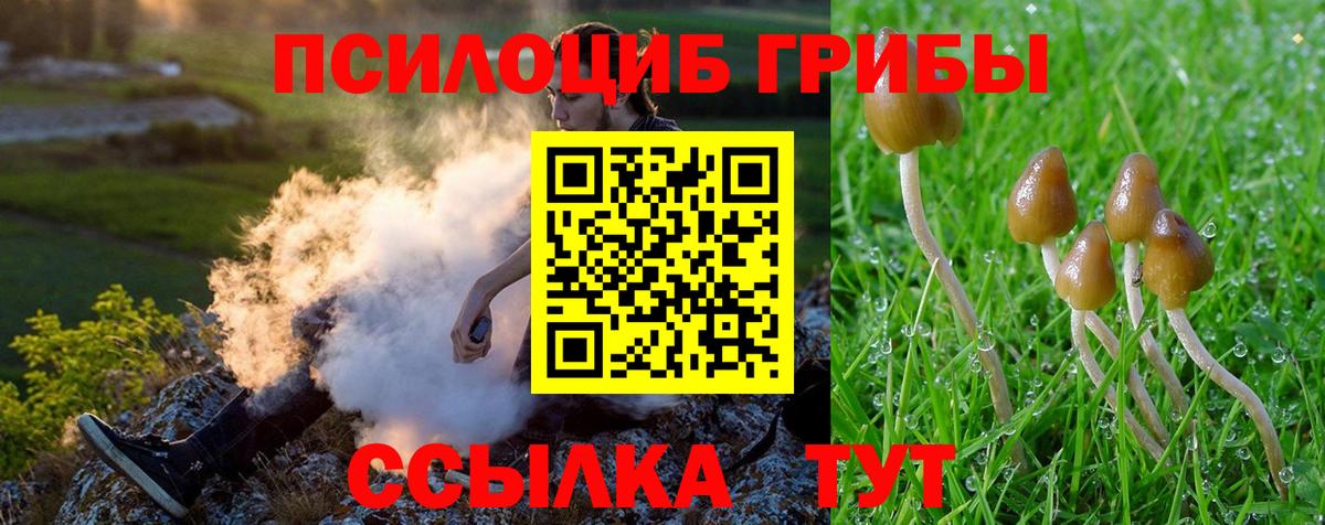 Галлюциногенные грибы Magic Shrooms  Вход с VPN  Псилоцибиновые грибы Magic Shrooms  Пенза 